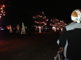 2012-12-21 14 Trail of Lights.jpg